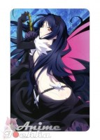 Accel World 03